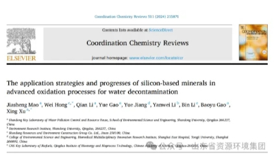 【文献速递】山东大学许醒＆山东省资源环境集团洪卫在国际期刊Coordination Chemistry Reviews发表论文